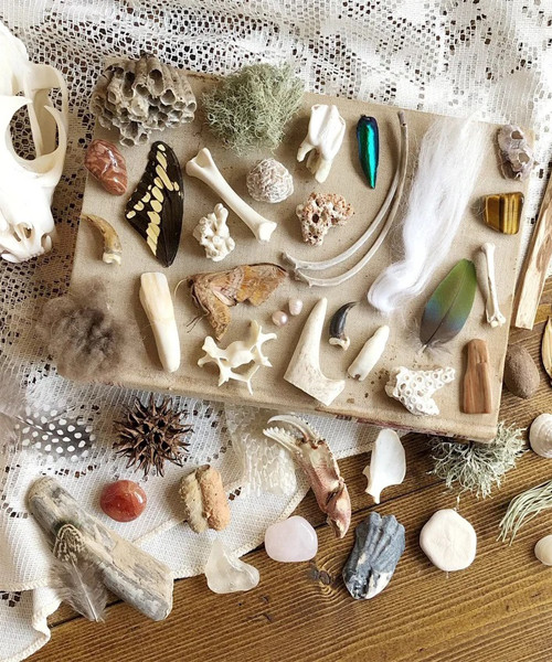 5 Artikel Naturgeschichte Mystery Box