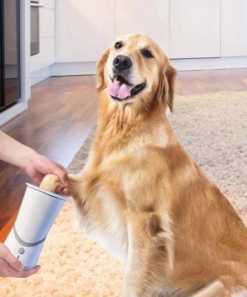 Aufladbarer elektrischer Fubreiniger fur Haustiere