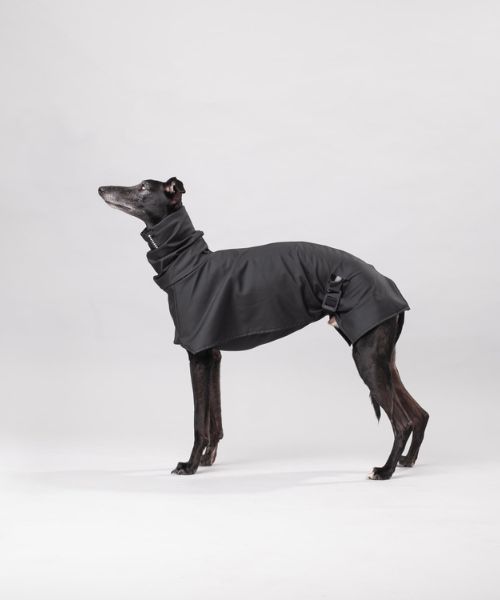 Bastards Allwetter-Hundekleidung Bastards Allwetter-Hundekleidung