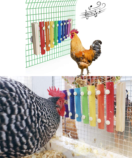 Cicken Xylophoneh Spielzeug