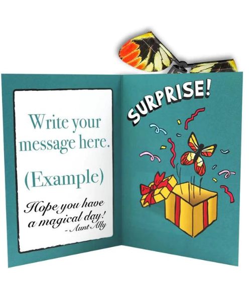 DIY Magic Flying Butterfly Karte