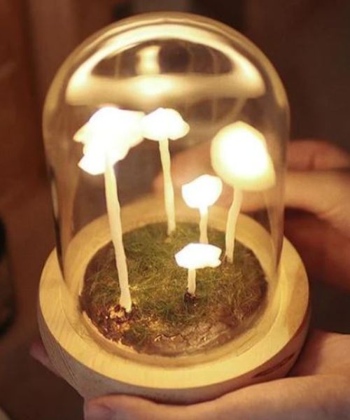 DIY Pilz Lampen