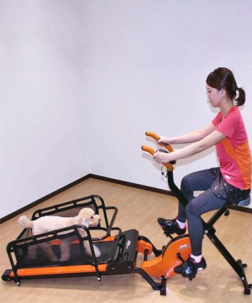 Dual Workout Maschine