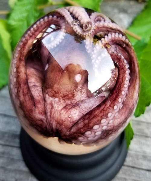 Echter Oktopus Glasglobus