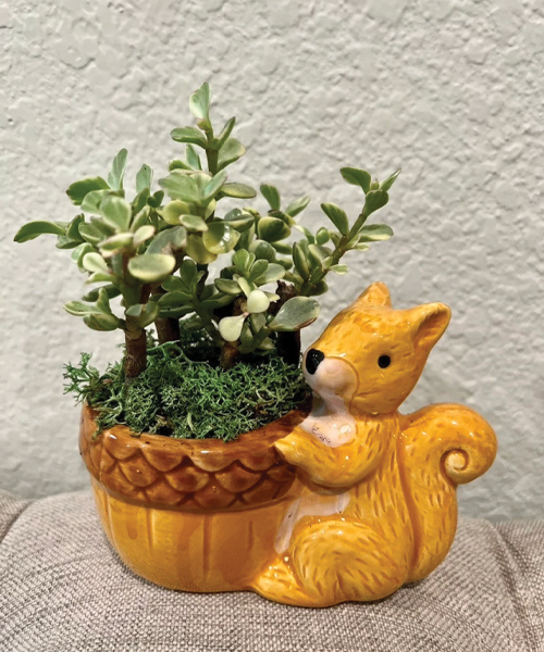 Eichhoernchen Keramik Tier Pflanzer
