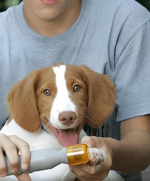 Elektrischer Hunde-Nageltrimmer Elektrischer Hunde-Nageltrimmer