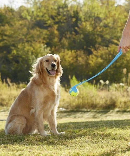 Fetch It Manual Dog Ball Launcher. Fetch It Manual Dog Ball Launcher.
