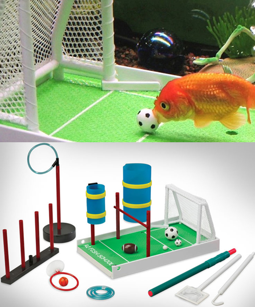 Fisch Soccer Trainingskit Fisch Soccer Trainingskit