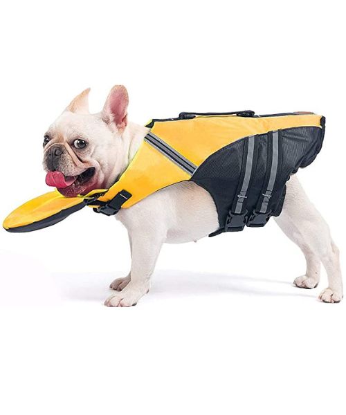 Franzosische Bulldogge Schwimmweste