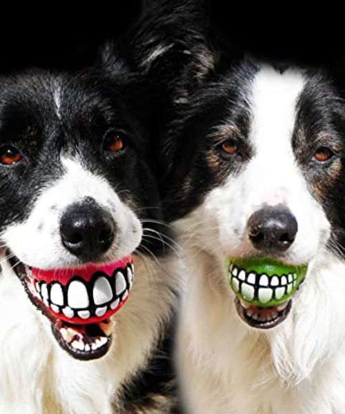 Grinsende Zahne Hundespielzeug