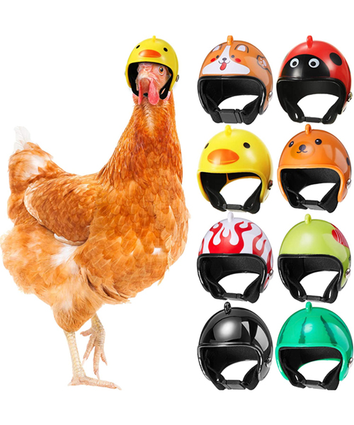 Haustiere Sicherheitshelm