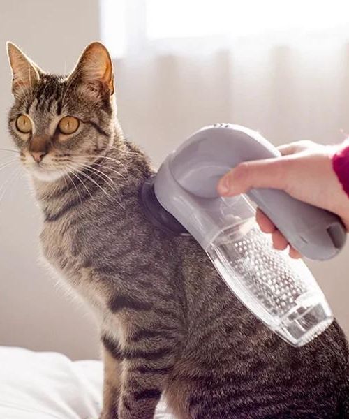 Kabelloser Staubsauger fur Haustiere