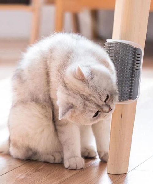 Katze Selbst Groomer Burste