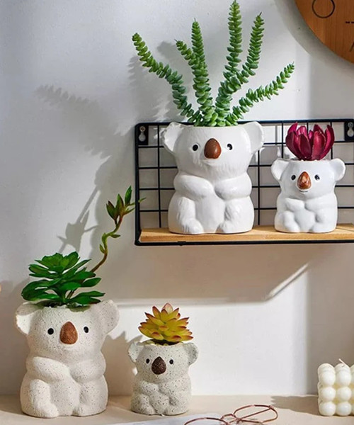 Koala Bar Pflanzgefab