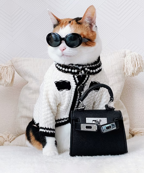 Luxurioses Strickjacken Katzen Outfit Luxurioses Strickjacken Katzen Outfit