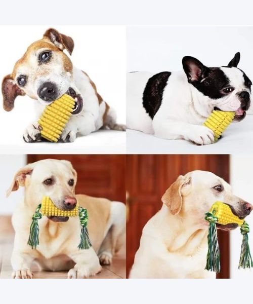 Maiskolben-Hundezahne reinigen