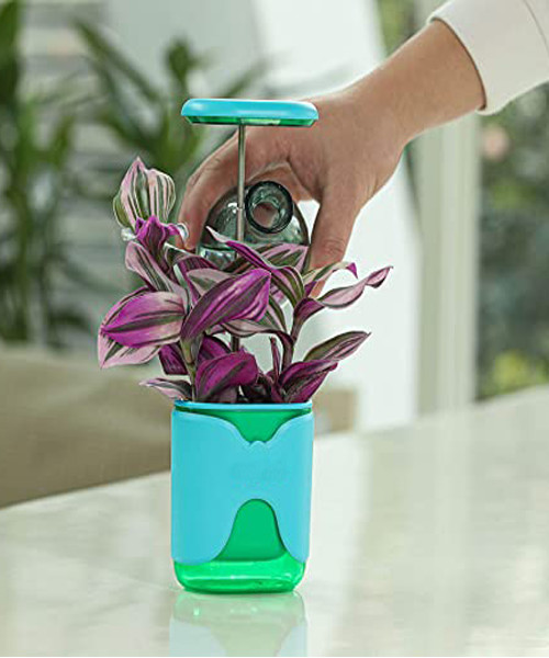 Meinno Ein winziger Garten in Ihrer Handflache