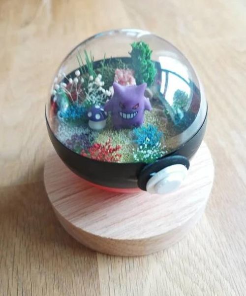 PokeBall Terrarien