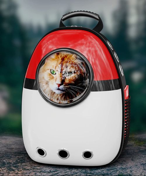 Pokemon-Rucksack