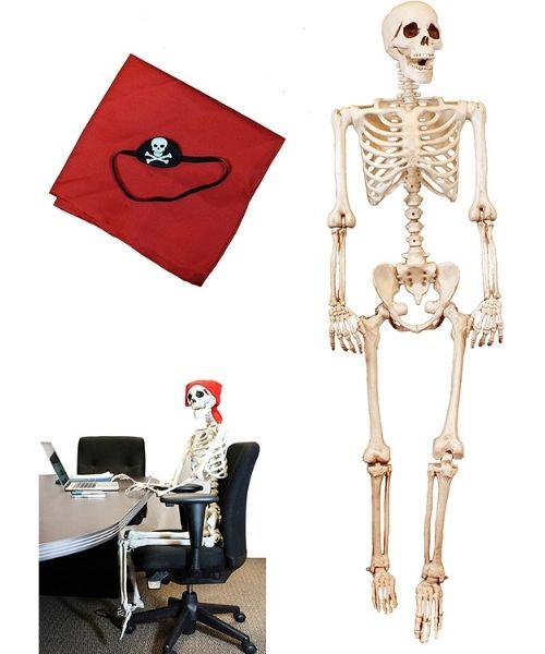 Posierbares Skelett in Lebensgrobe