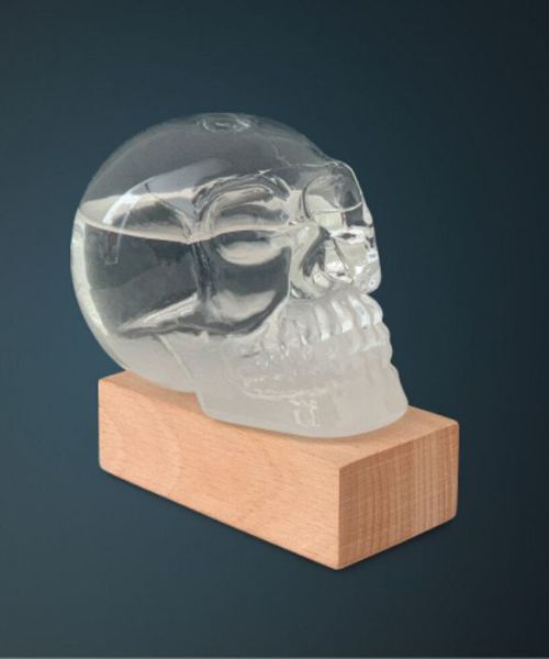 Sturmschadel Wettervorhersager