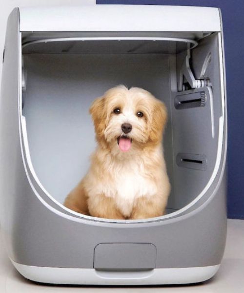 All-in-One Hundedusche und -trockner für drinnen All-in-One Hundedusche und -trockner für drinnen