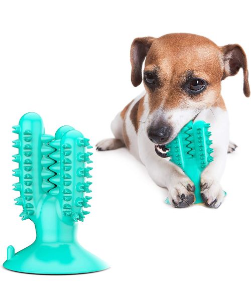 ANYPET Hund kauen Zahnbürste Spielzeug ANYPET Hund kauen Zahnbürste Spielzeug