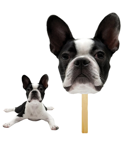 benutzerdefinierte Haustier Stick