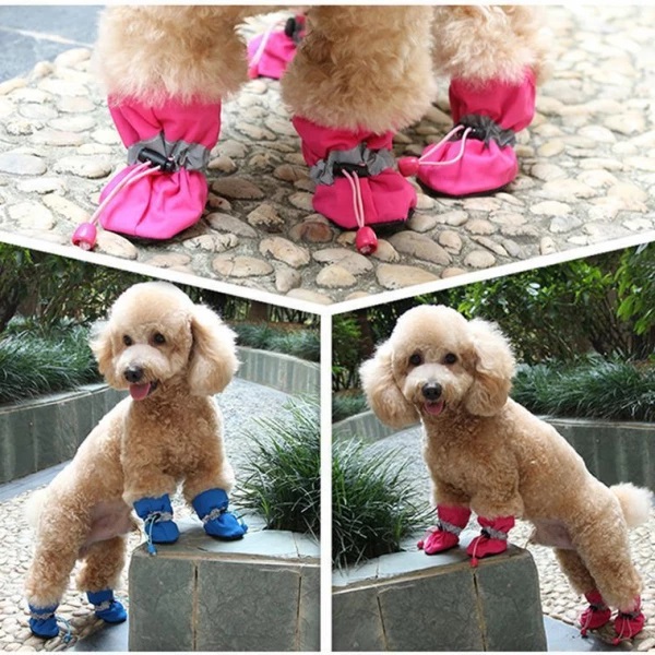 Bezaubernde Hundeschuhe Bezaubernde Hundeschuhe