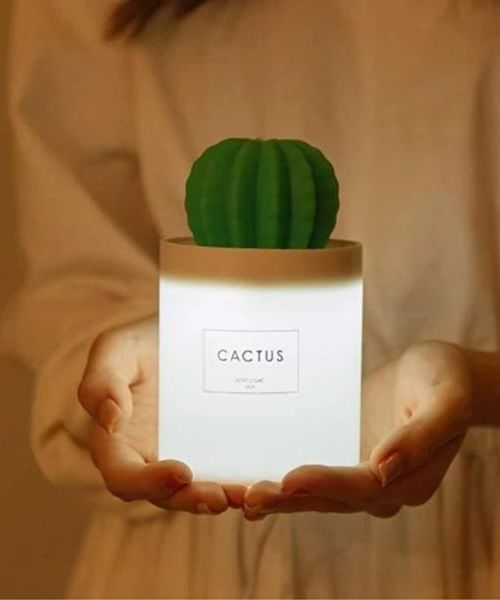 Cactus Luftbefeuchter Lampe