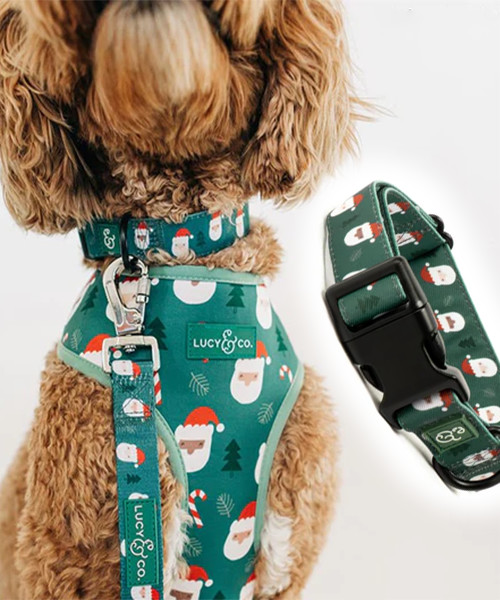 Das Weihnachtsland-Halsband