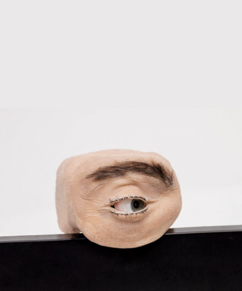 Eyecam Anthropomorphe Webcam