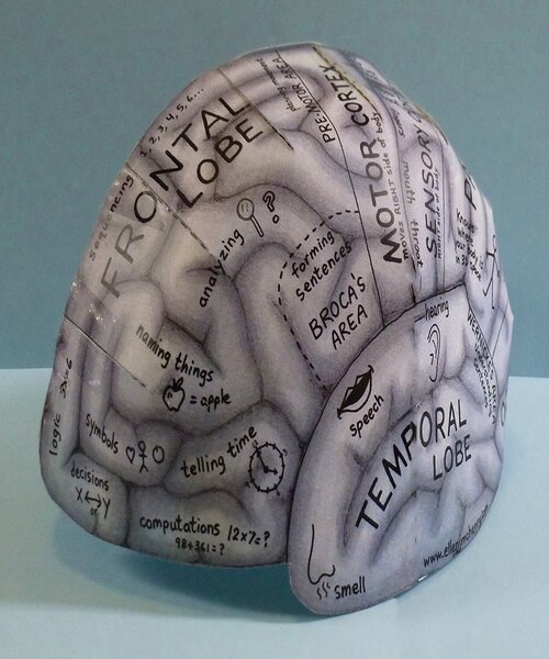 Gehirn Hut