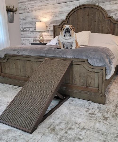 Grobe Haustier Rampe