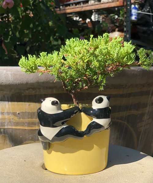 Hängende Miniatur Panda Figur