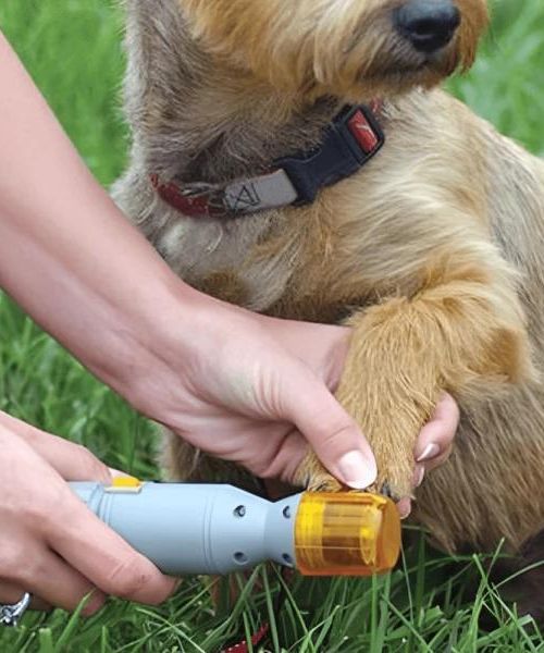 Haustier Nagelschleifer