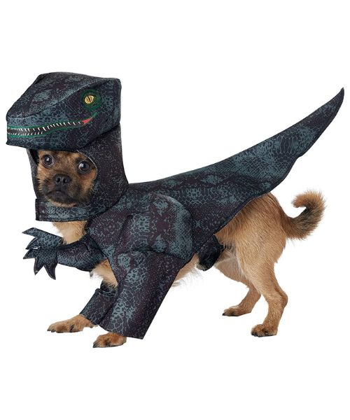 Hund Pupasaurus Rex Kostüm