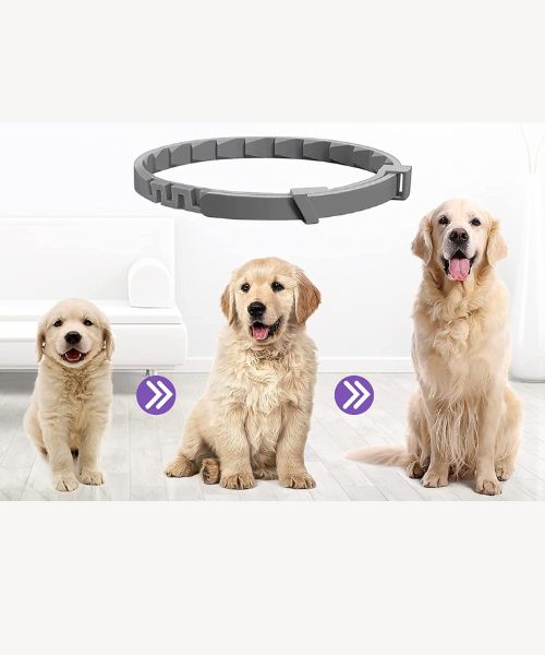 Hunde Beruhigendes Pheromonen Halsband