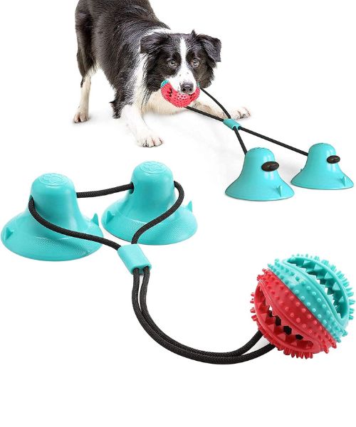 Hundesaugnapf Spielzeug