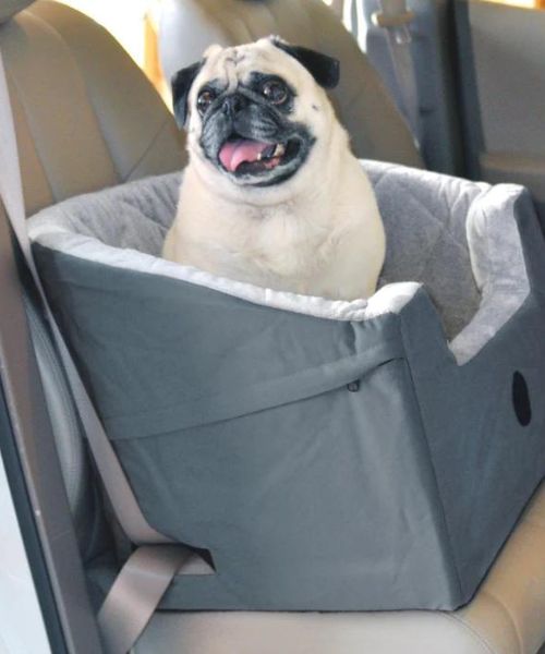 K&H Pet Products Eimer Booster Haustier Sitz