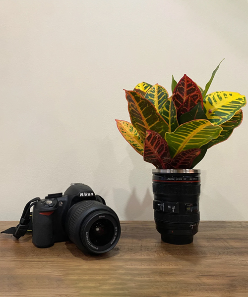 Kamera Objektiv Blumen Topf Fur Fotografen