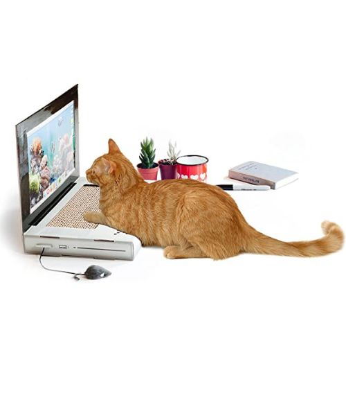 Katzenkratzer Laptop