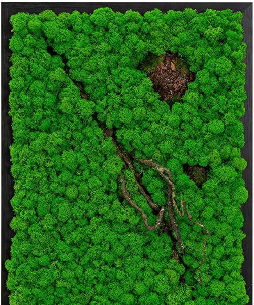 Kunstrahmen aus konserviertem Moos