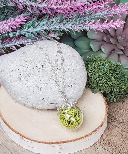 Moos Terrarium Halskette Moos Terrarium Halskette