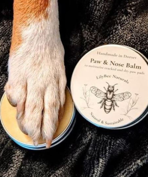 Pfoten und Nasenbalsam