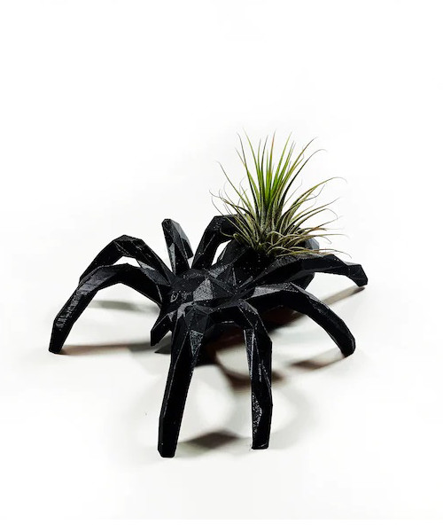 Schwarze Spinne Halter für Luftpflanzen