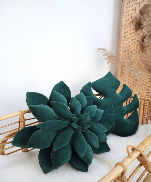 Sukkulentenkissen samt, Kaktuskissen