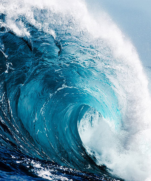 Wandschurken WR50516 Meereswellen