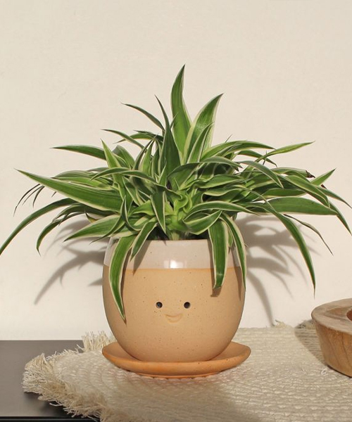 Weinender Blumentopf